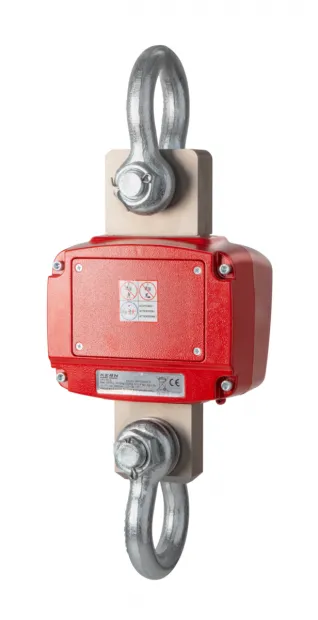 Detallierte Abbildung der Kranwaagen Rückseite