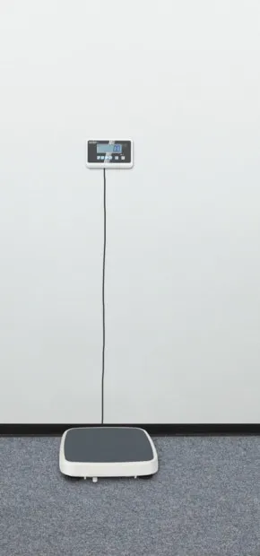 KERN MPC 250K100M Wandhalterung